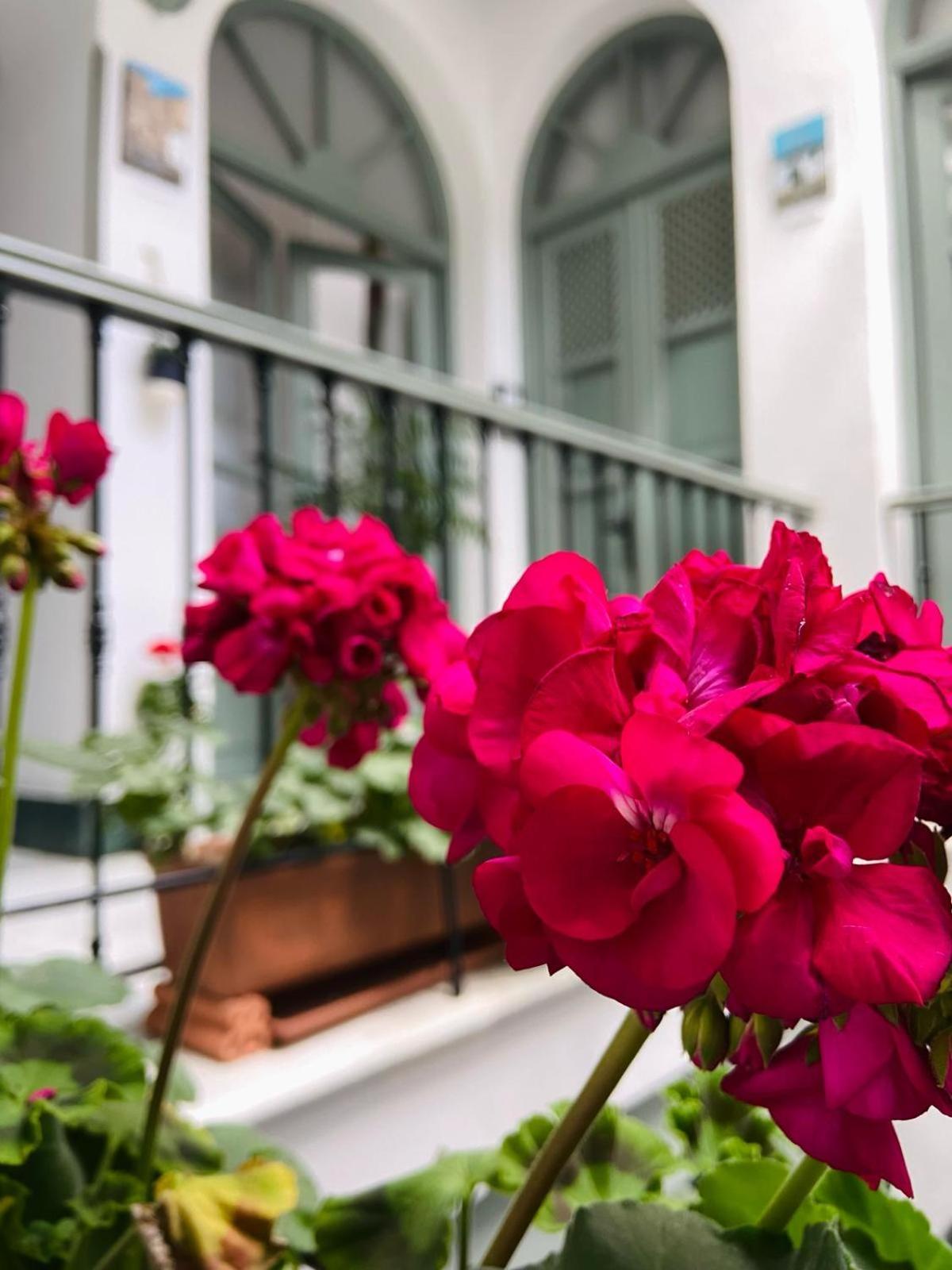 La Gitanilla Alojamiento & Encanto Jerez Херес де ла Фронтера Екстериор снимка