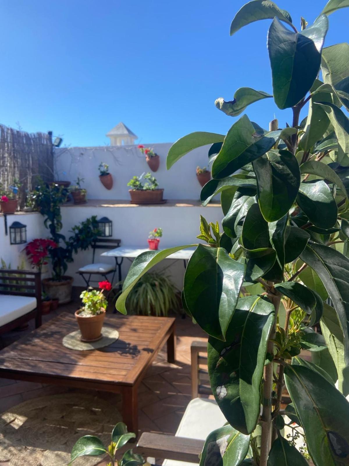 La Gitanilla Alojamiento & Encanto Jerez Херес де ла Фронтера Екстериор снимка